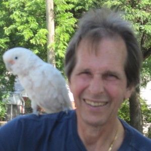 Meet your Posher, Posh